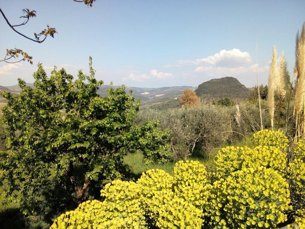 Villa Il Palazzino Volterra Exterior photo